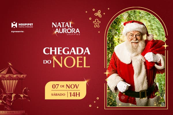 Chegada do Papai Noel 2026